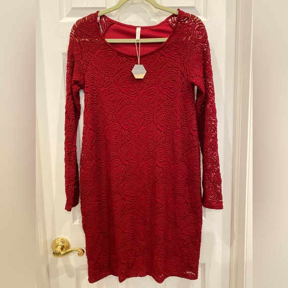 NWT Pinkblush maternity size small lace shift dress long sleeve - Picture 1 of 4